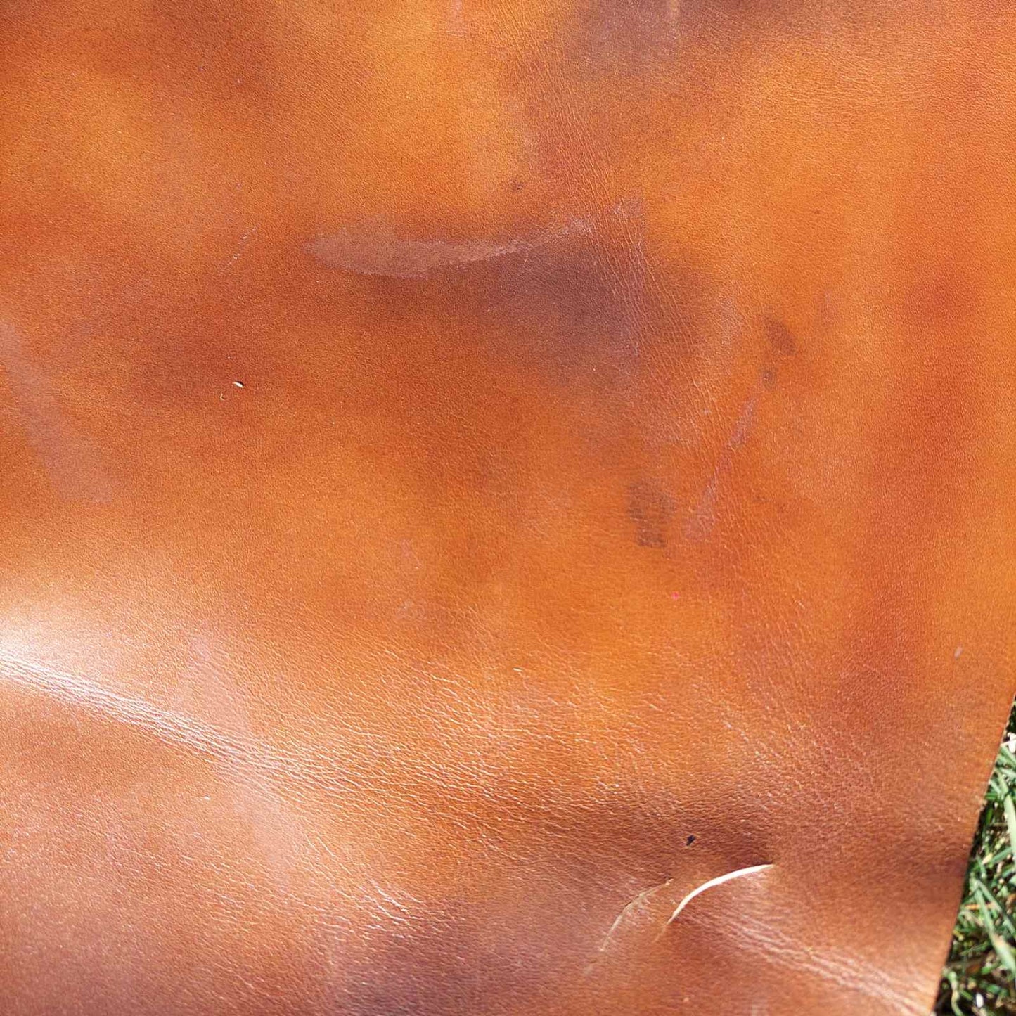 Light Brown Leather - 1/2 Hide
