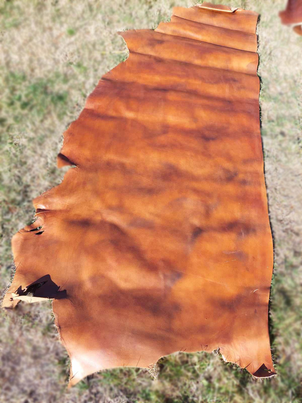 Light Brown Leather - 1/2 Hide