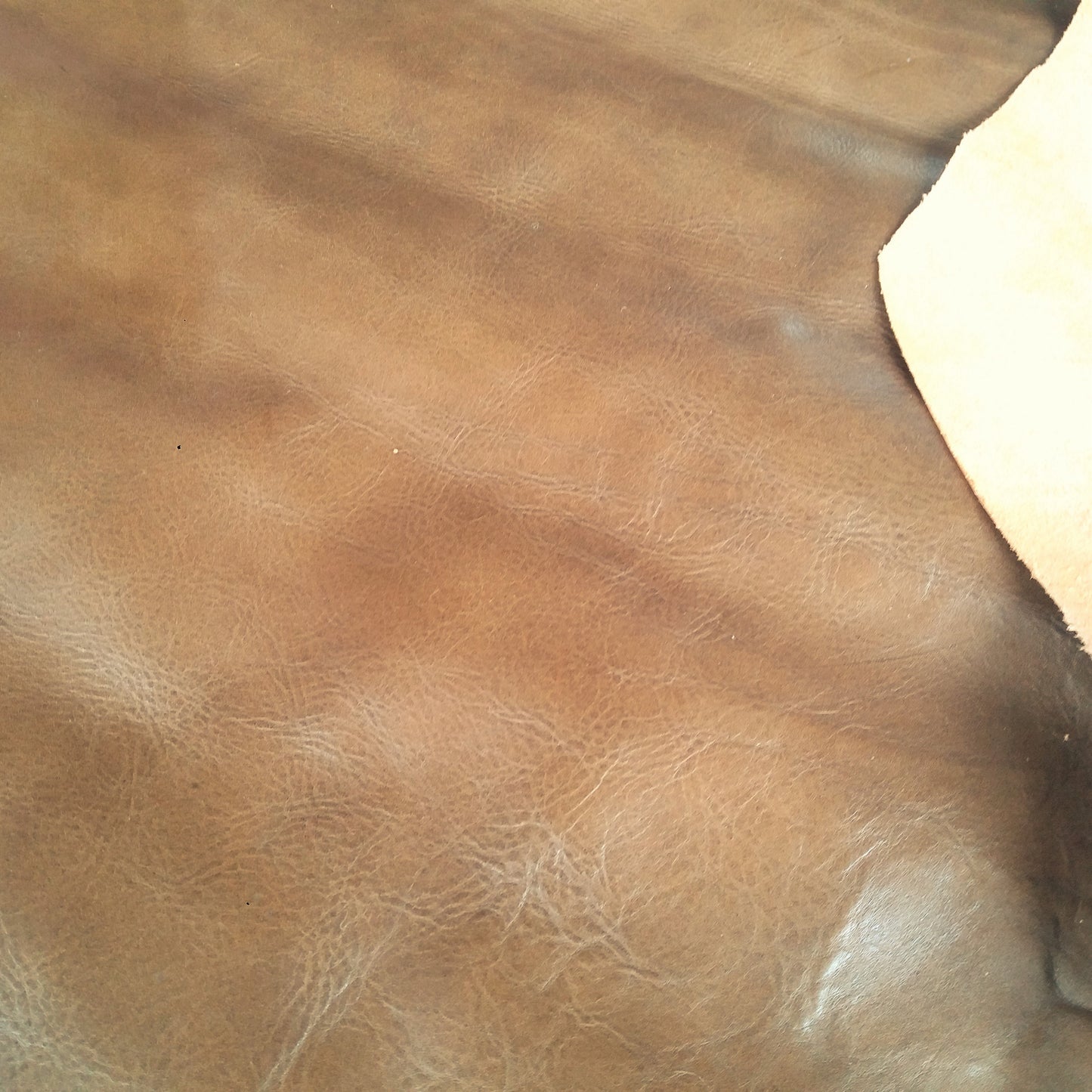 Olive Brown Scrap Leather Piece