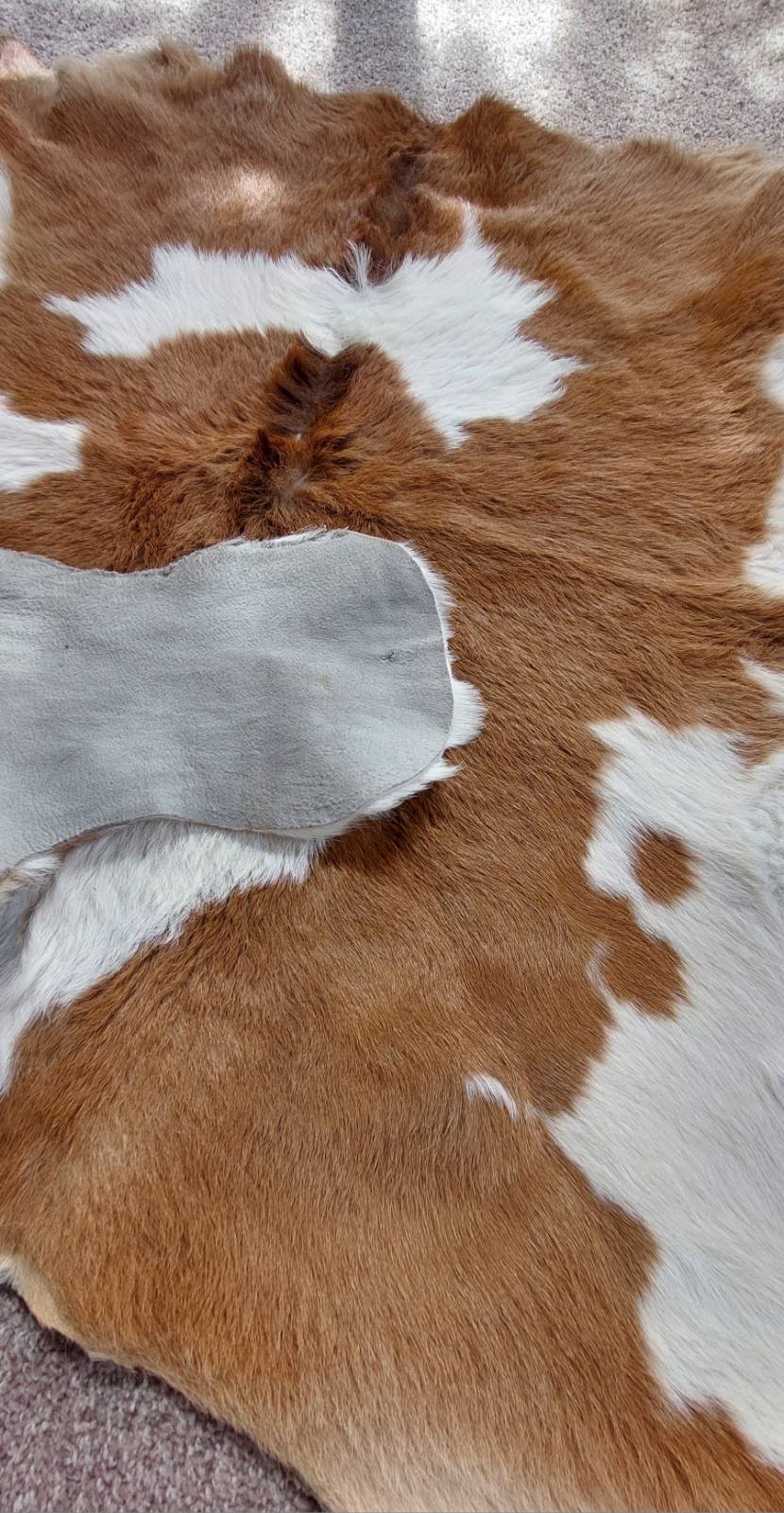 Cowhide Leather Piece - 1 x Full Size Tan/White Calf-hide