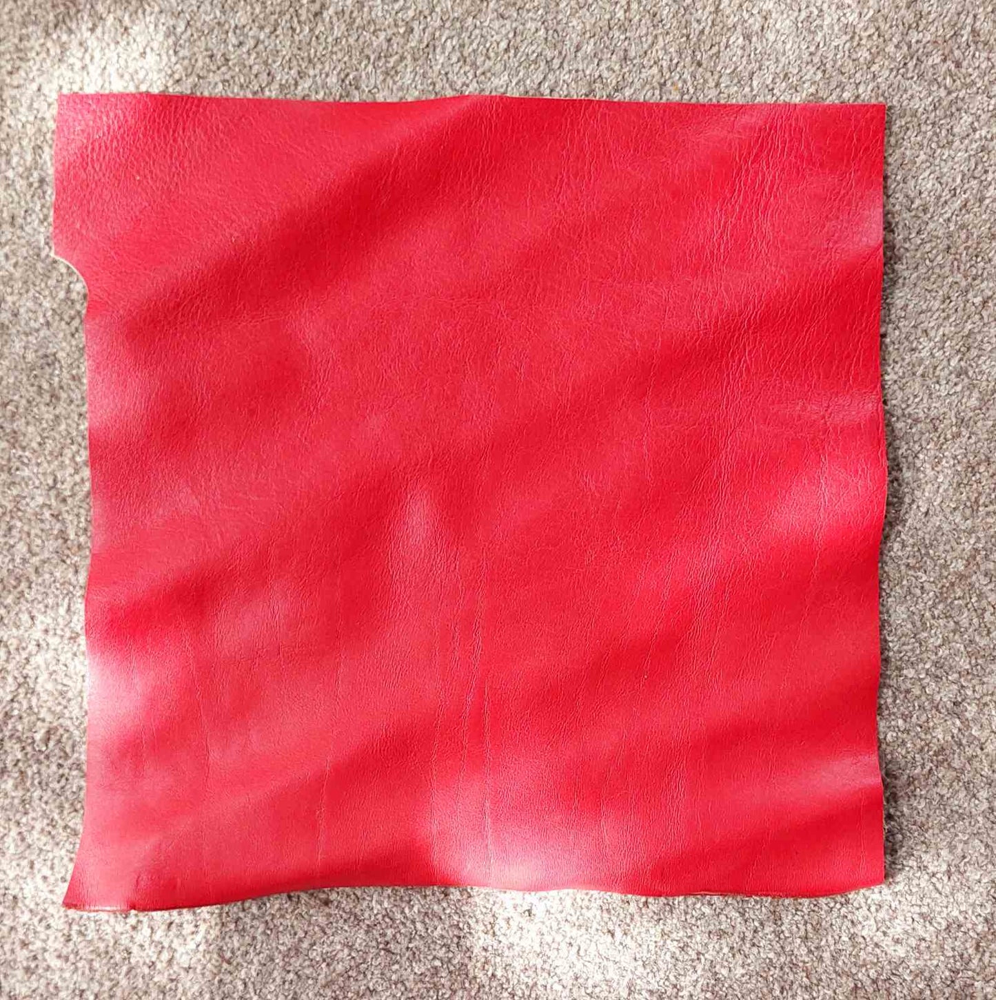 Red Scrap Leather Piece